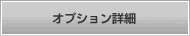 オプション詳細